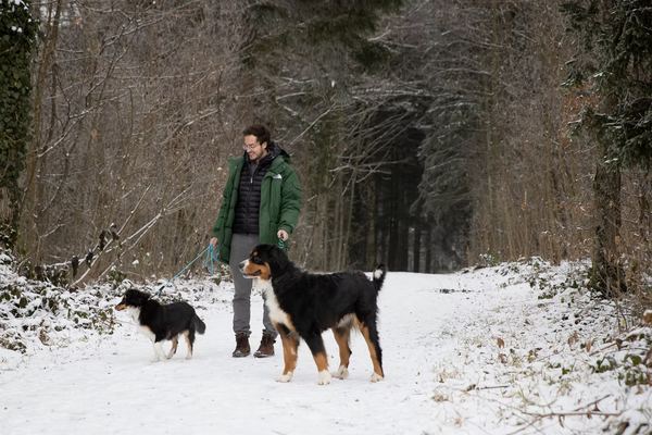 Hunde unterwegs mit Loris